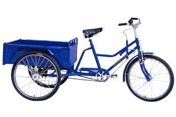 Cargo Tricycle